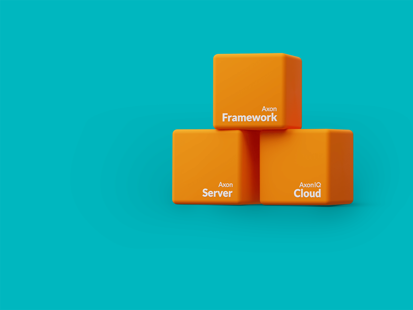 training_blocks_beauty_transp4-1